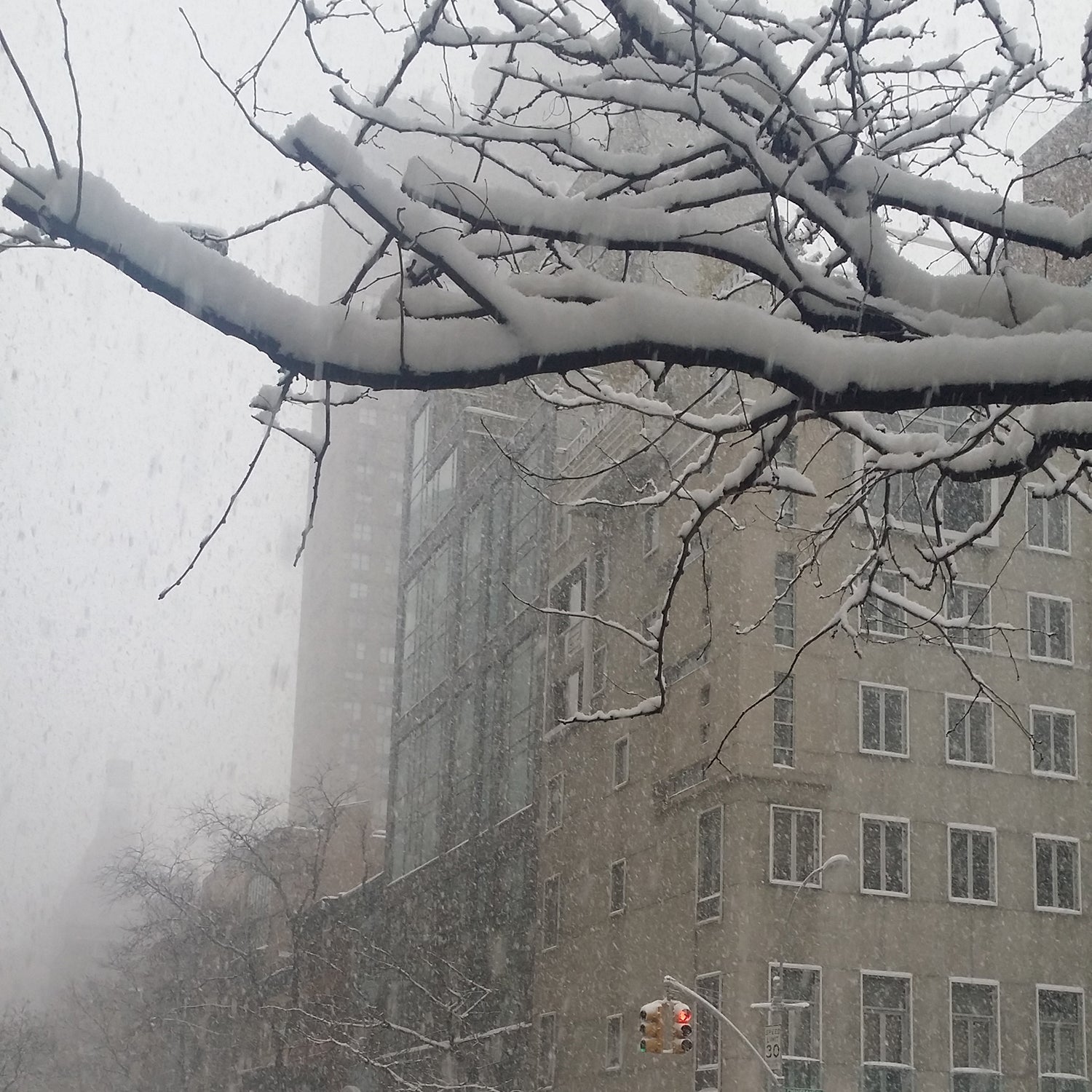 Snow day