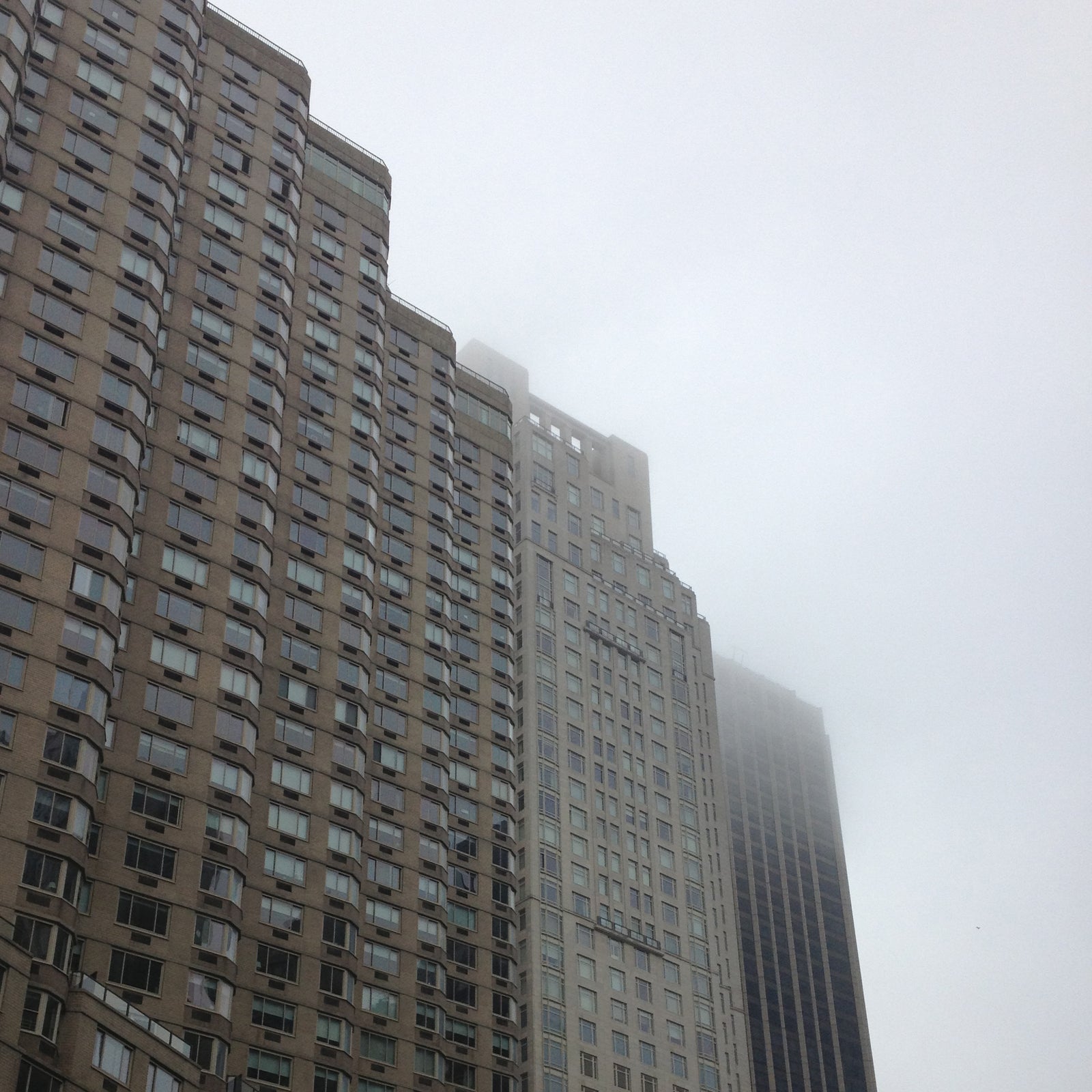 One Gray day