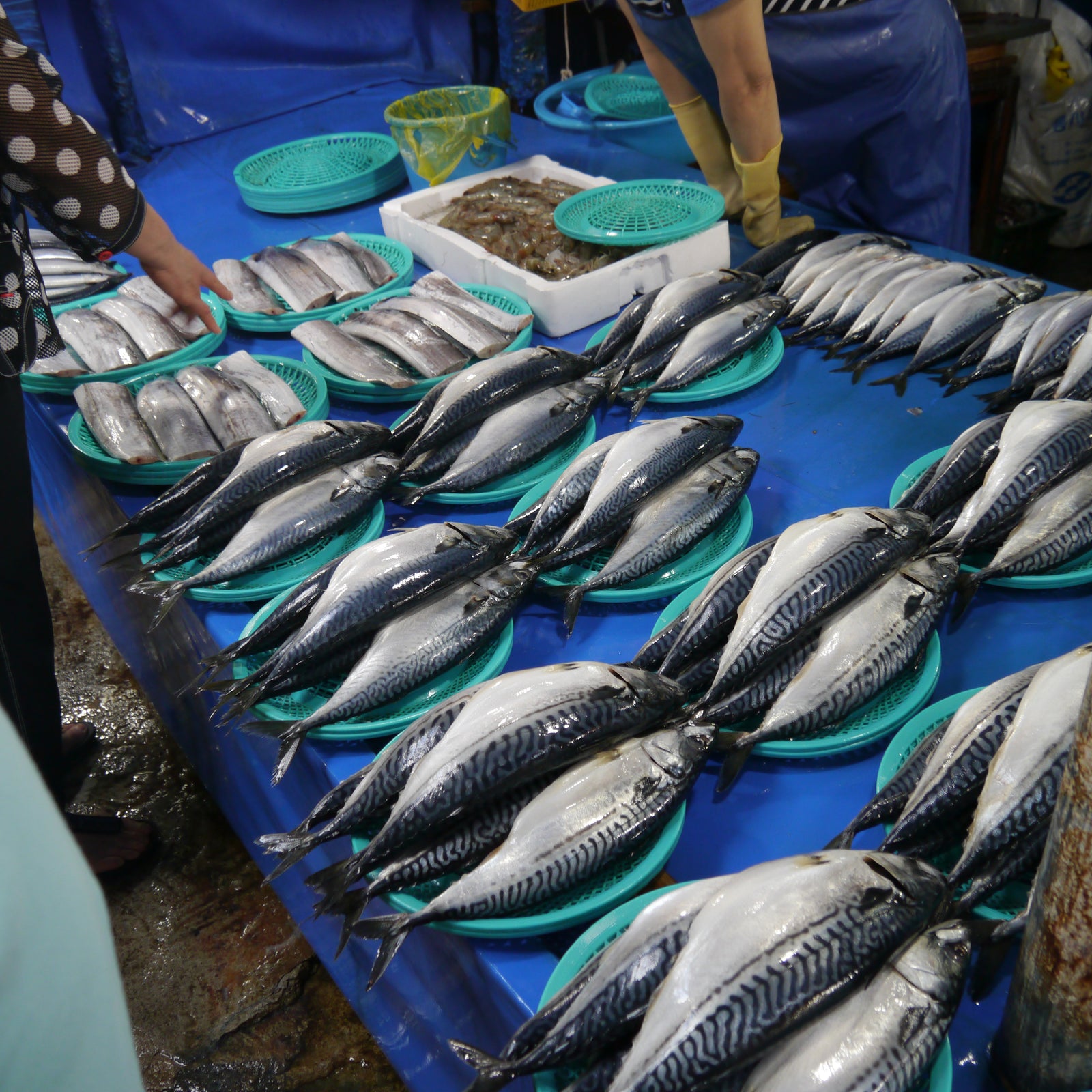 Seafood Market