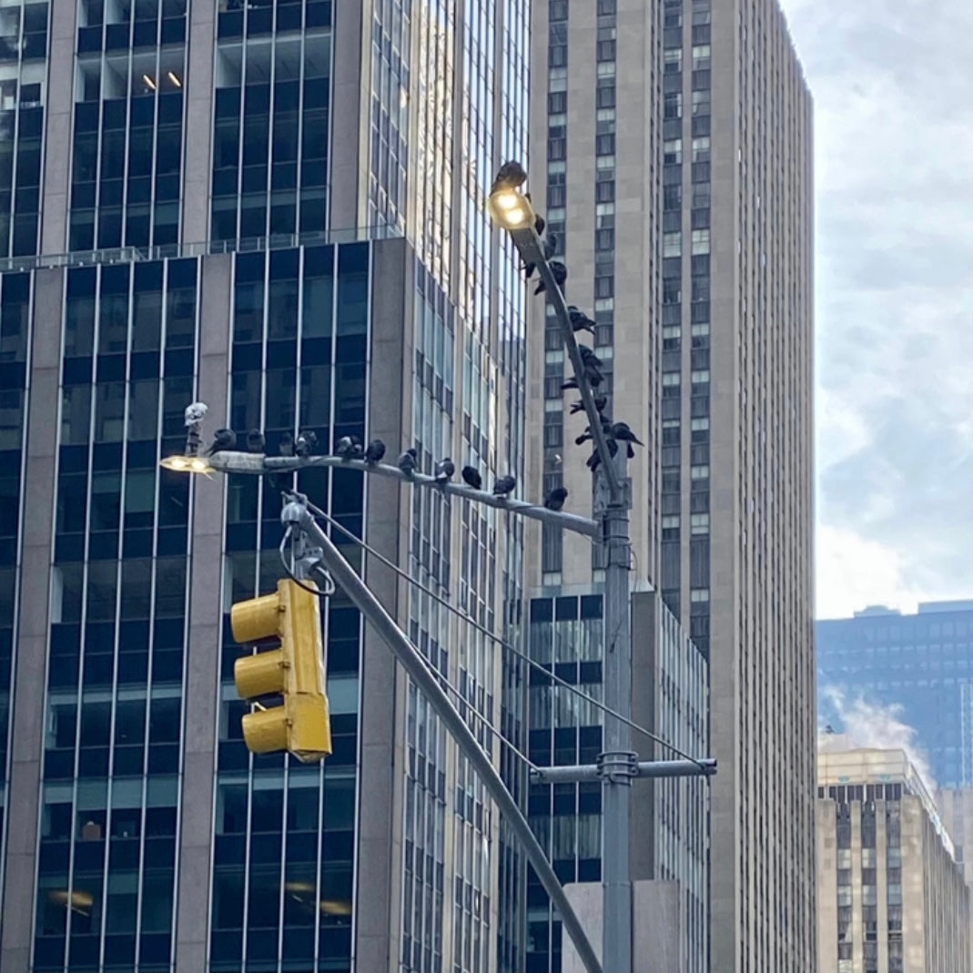 NYC