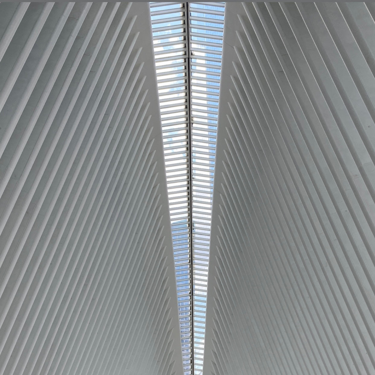 Symmetry & Structure