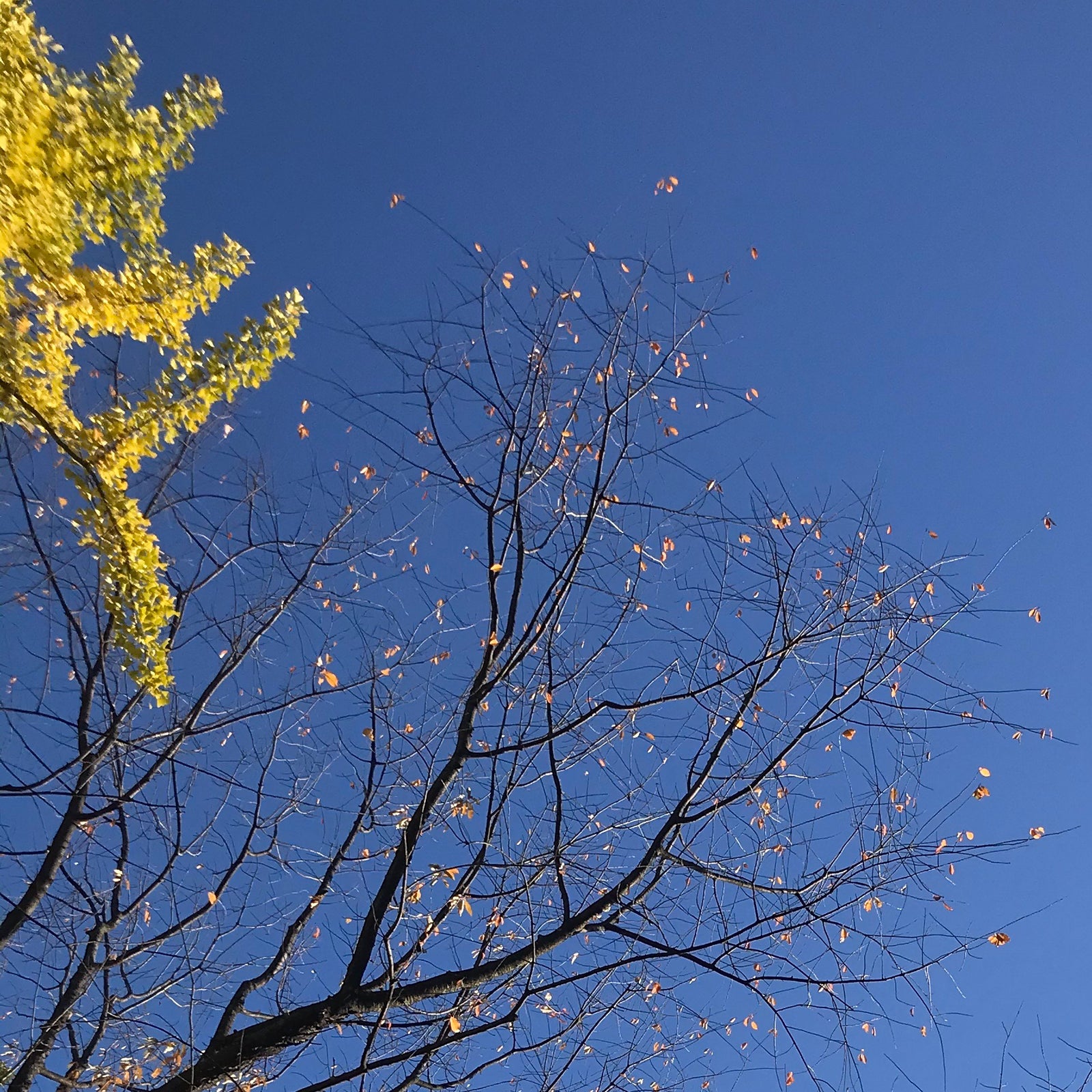 Sky & Breathe