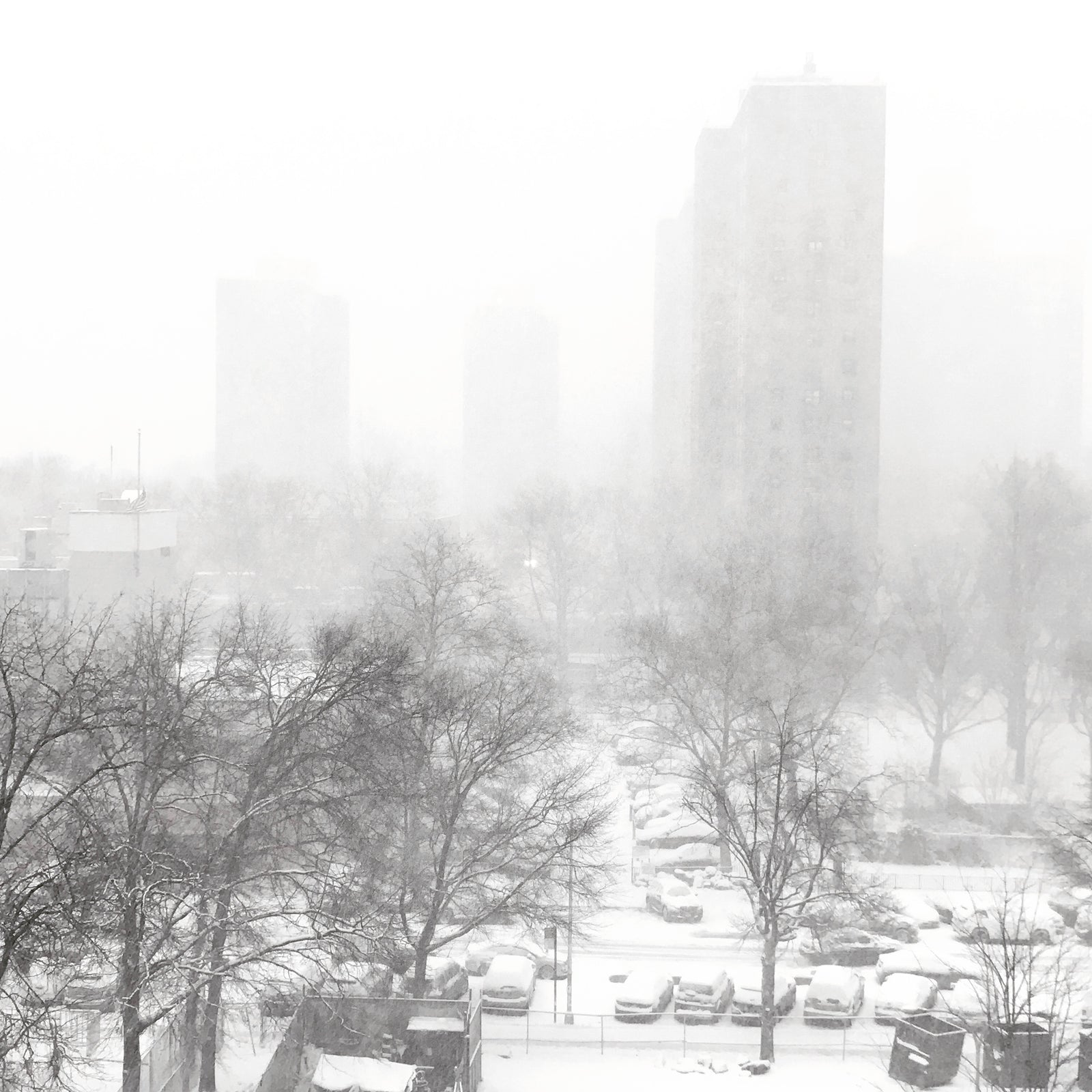 Snow Day