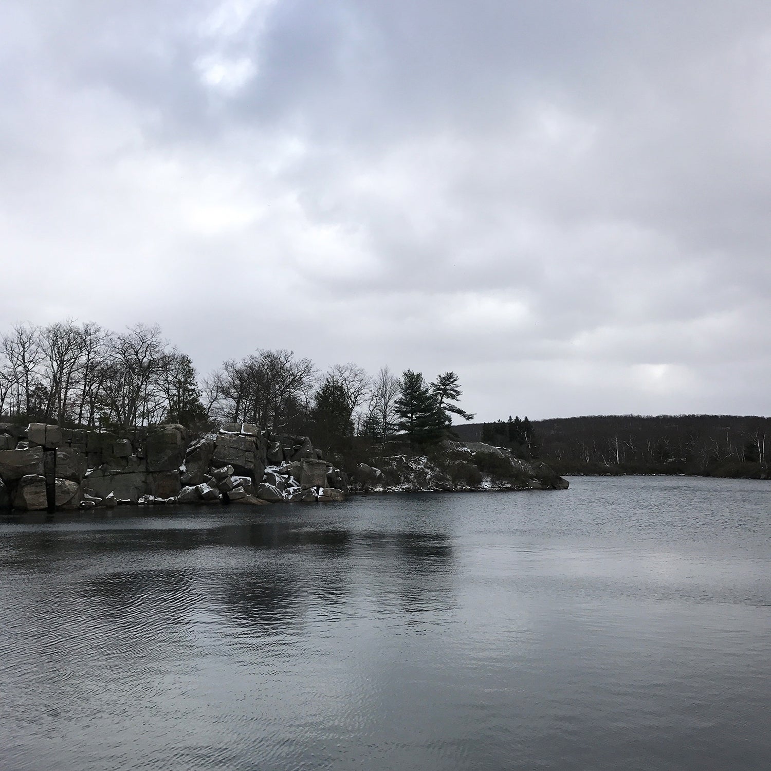 Grey day