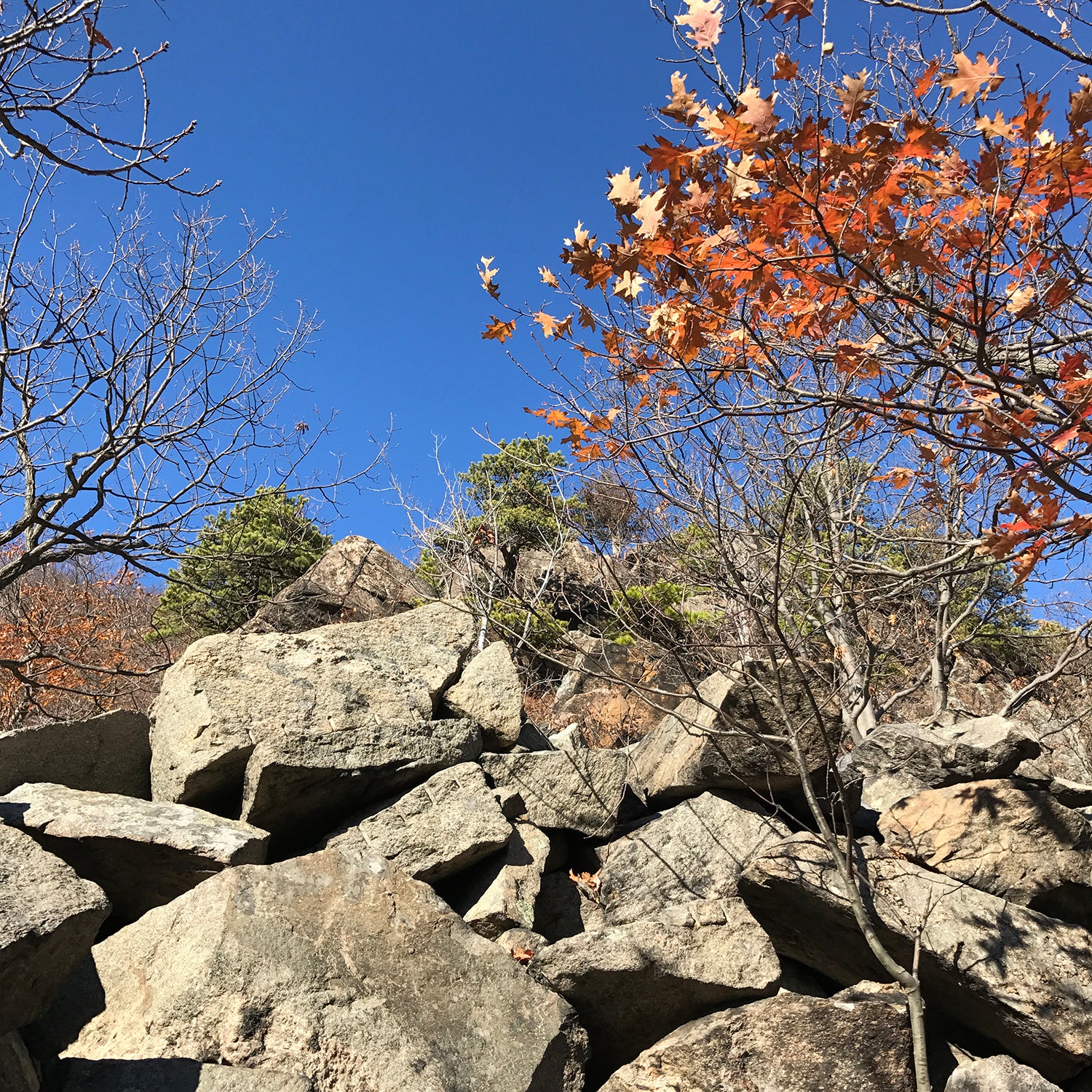 Autumn