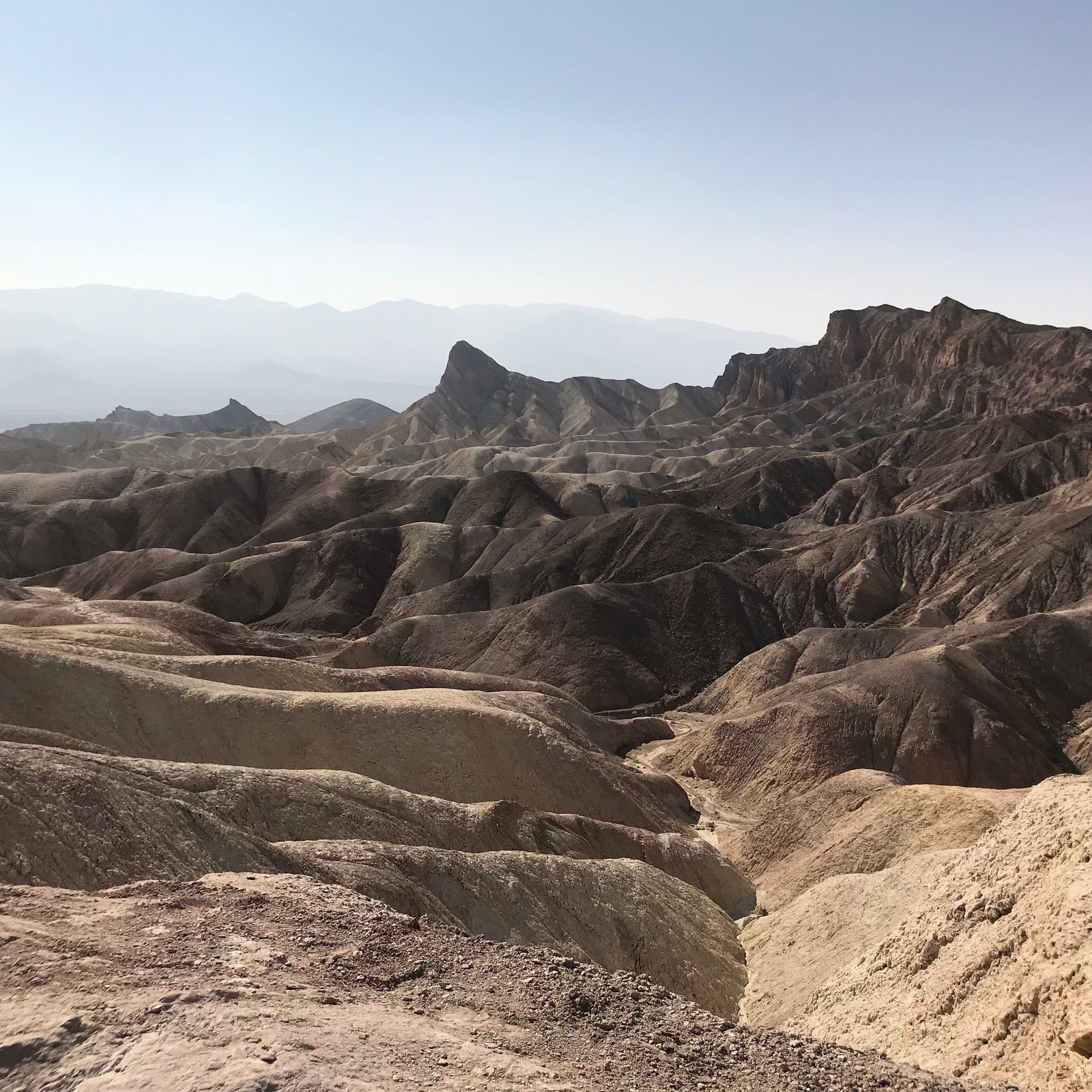 Desert