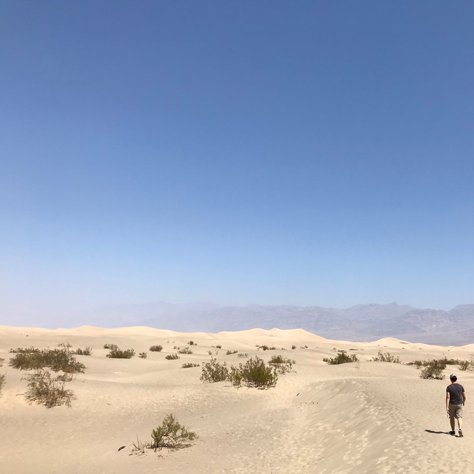 Desert