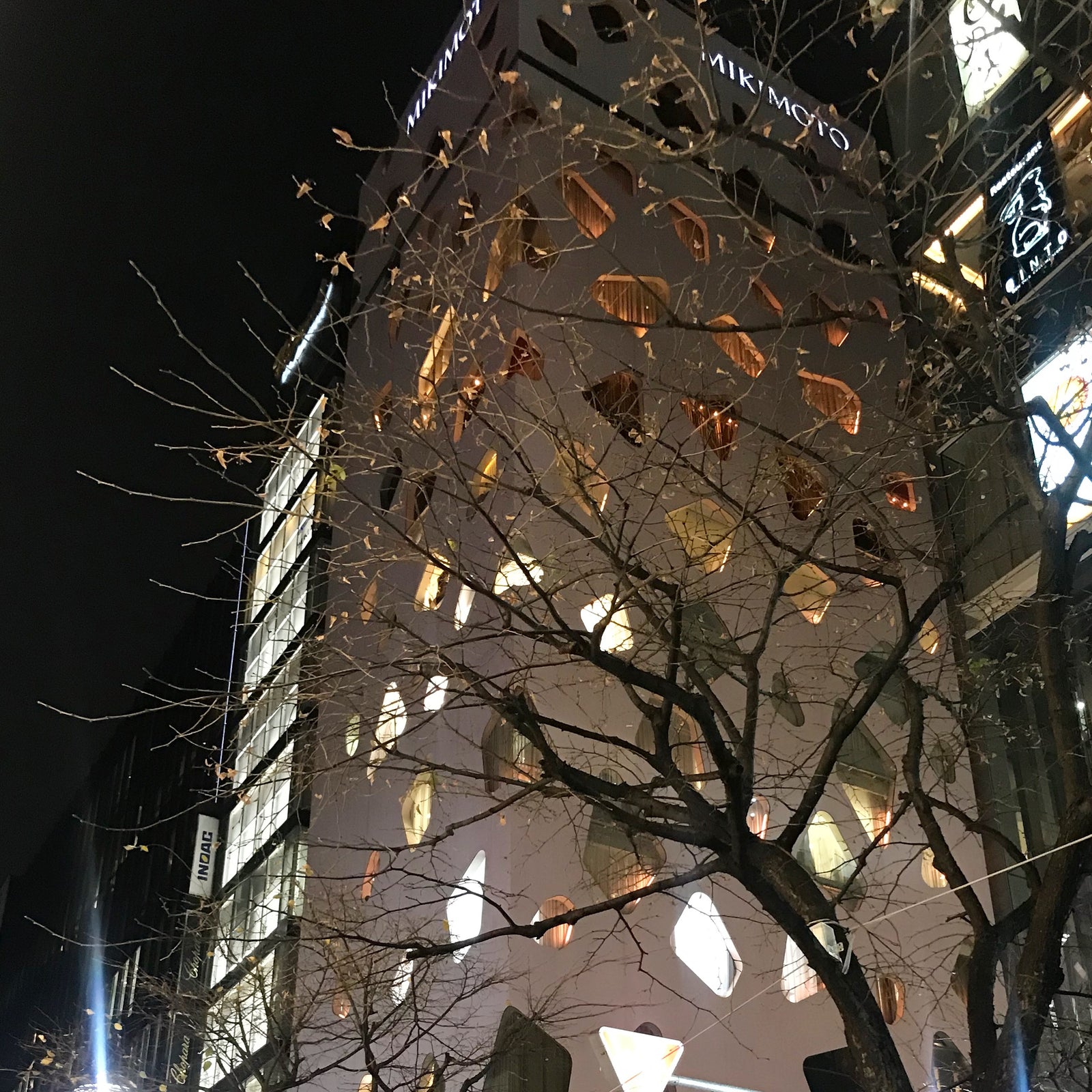 Japan Trip