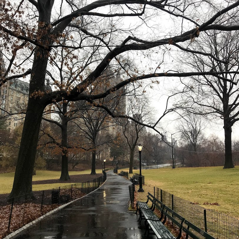 Rainy day