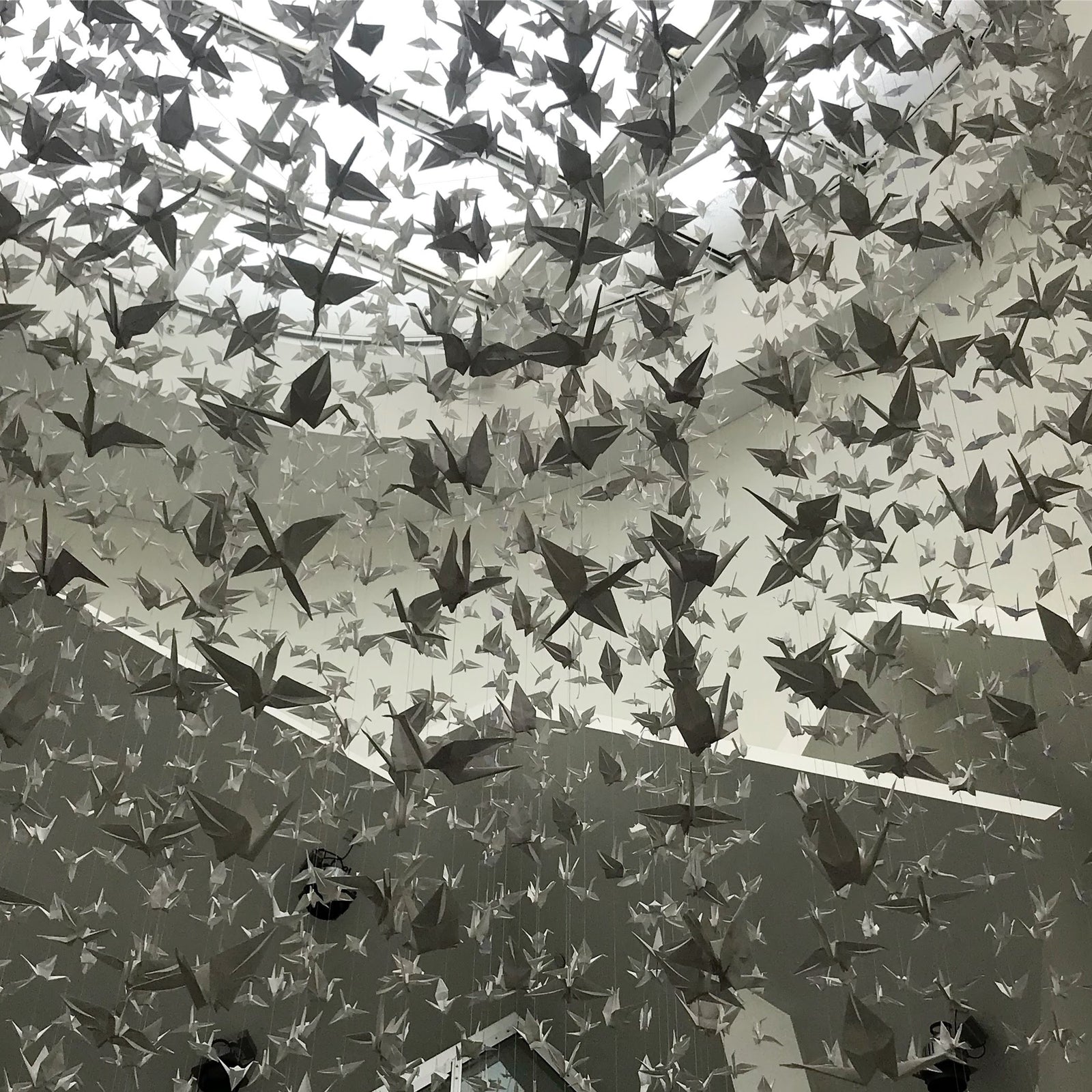 Paper Cranes