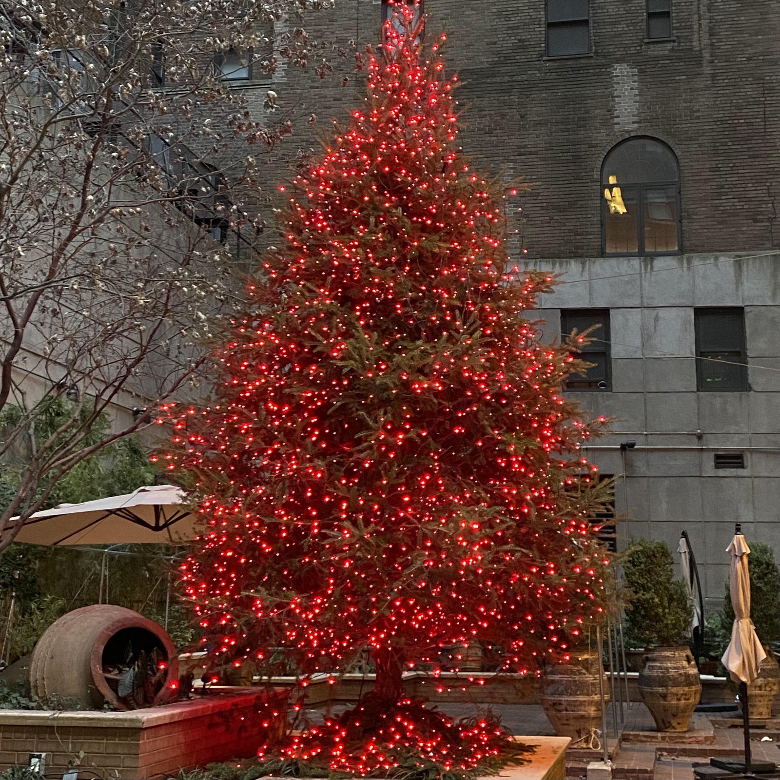 Merry Christmas 2020
