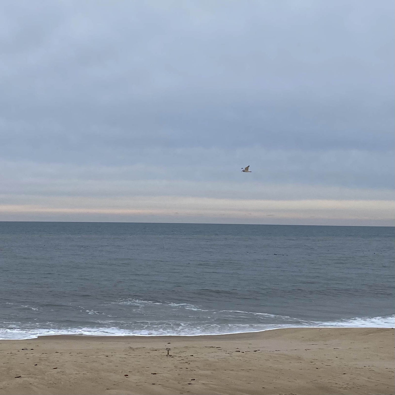 Winter Sea
