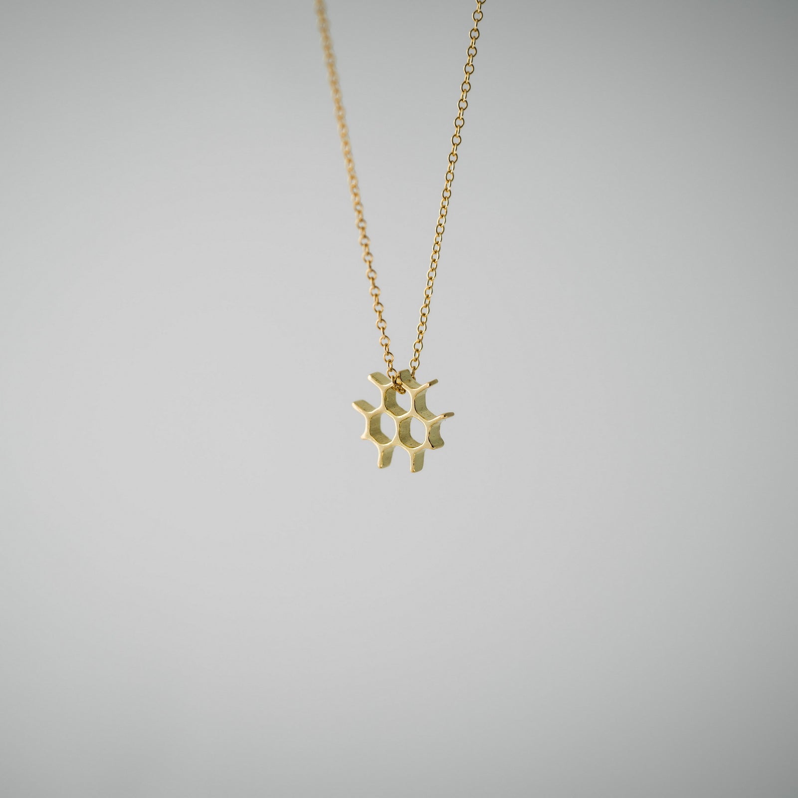 14K Gold Hive Necklace - beeshaus